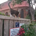 In Der Historischen Altstadt Von * Angermunde