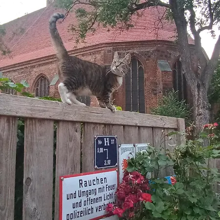 In Der Historischen Altstadt Von * Angermunde