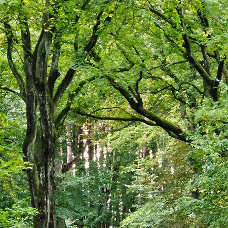 In Der Historischen Altstadt Von Appartement *