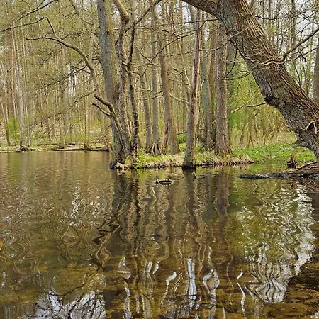 In Der Historischen Altstadt Von * Angermunde