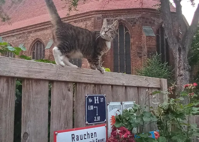 In Der Historischen Altstadt Von * Angermunde