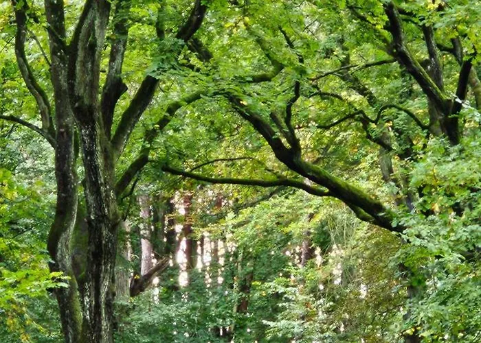 In Der Historischen Altstadt Von Apartamento *