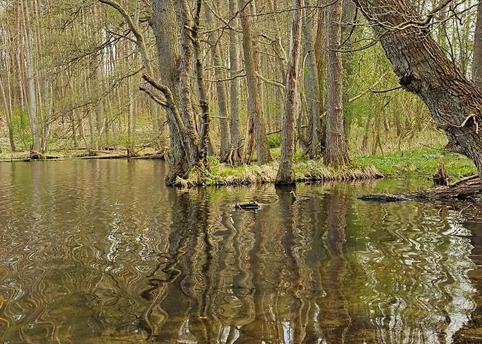 In Der Historischen Altstadt Von * Angermunde