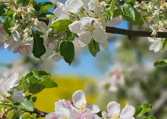 In Der Historischen Altstadt Von Apartamento *