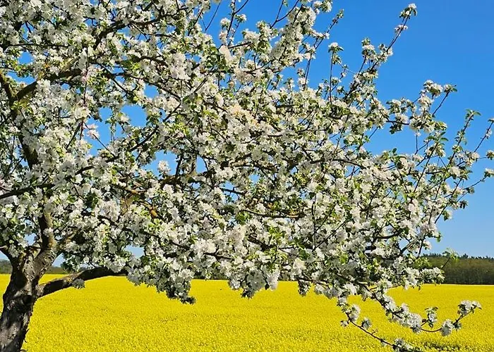 Appartement In Der Historischen Altstadt Von *